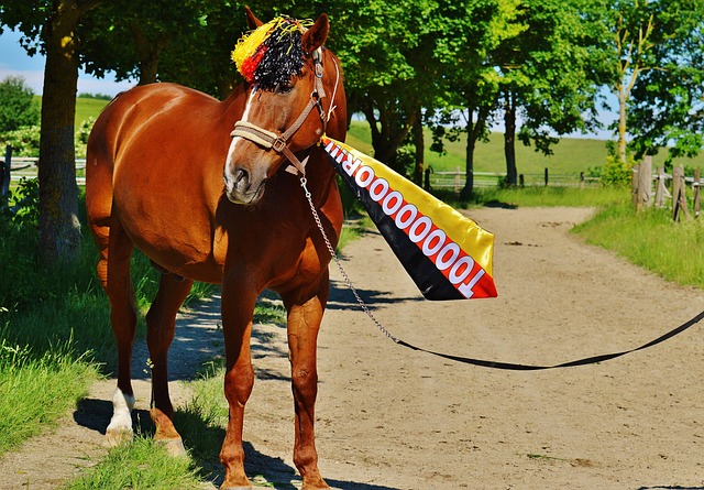 上争取到了 上争取到了