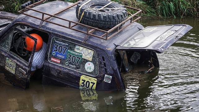 交出了一张 交出了一张