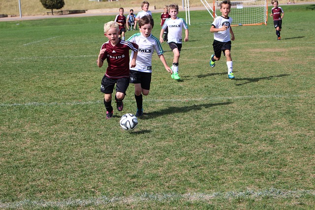 可持续发展 可持续发展